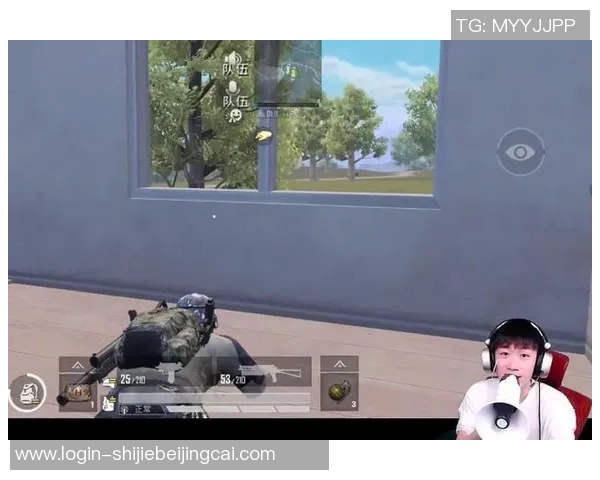 世界杯新闻对话王秀英：探索和平精英背后的成长与挑战之路